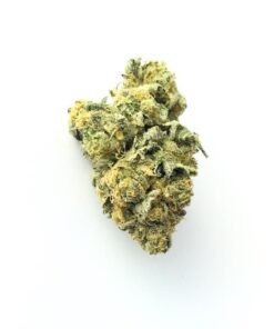 buy obama kush strain