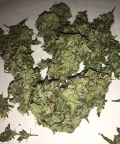 Buy Bubba Kush Online