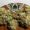 hells angels og strain