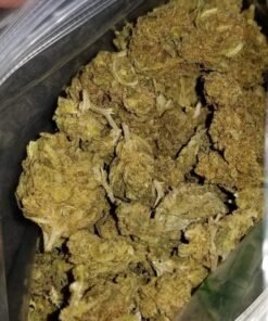 buy critical kush marijuana