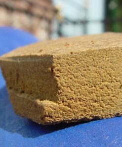 buy honey moroccan blonde hash