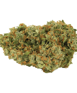 Buy Jack Herer Strain Online