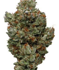 buy master bubba strain