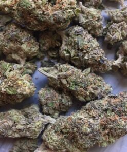 buy gelato weed strain