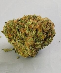 buy asteroid og strain