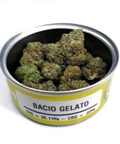 buy bacio gelato kush