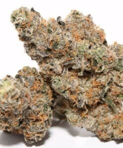 buy candyland cookies strain