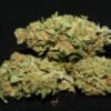 buy chocolope Strain online