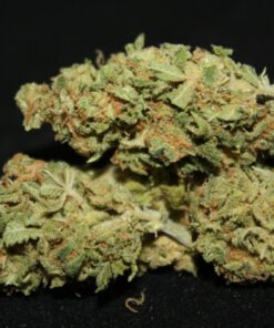 buy chocolope Strain online