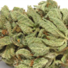 buy white og strain