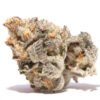 buy girl scout cookies strain