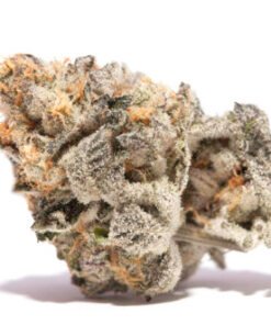 buy girl scout cookies strain