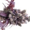 buy gelato 41 weed strain