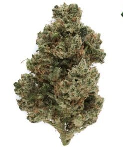 buy ghost train haze