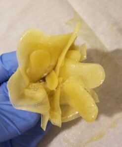 Buy Hash Rose Online