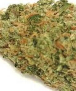 buy hydro green crack