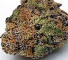 buy lavender kush strain