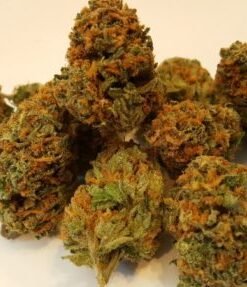 buy jedi weed strain