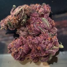 buy purple kush online