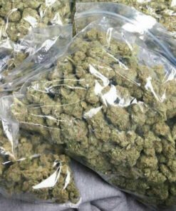 Buy Pound Of Weed Online