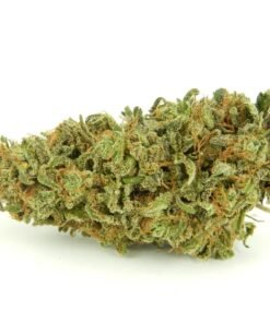 buy strawberry diesel online