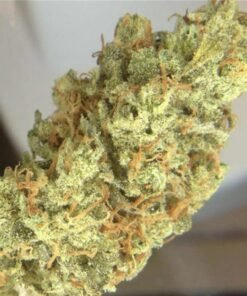 buy super lemon haze