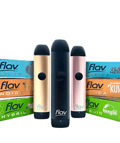 buy flav pods online